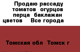 Продаю рассаду томатов, огурцов, перца, баклажан, цветов  - Все города  »    . Томская обл.,Томск г.